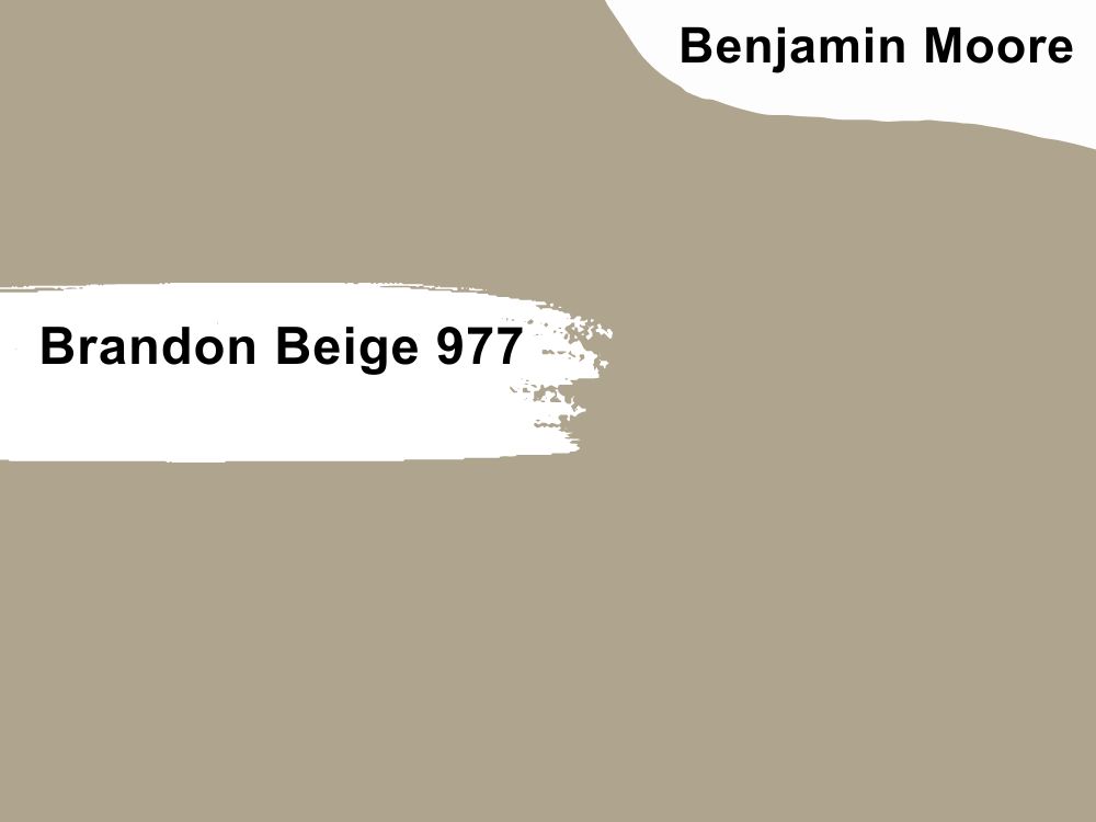 Brandon Beige 977