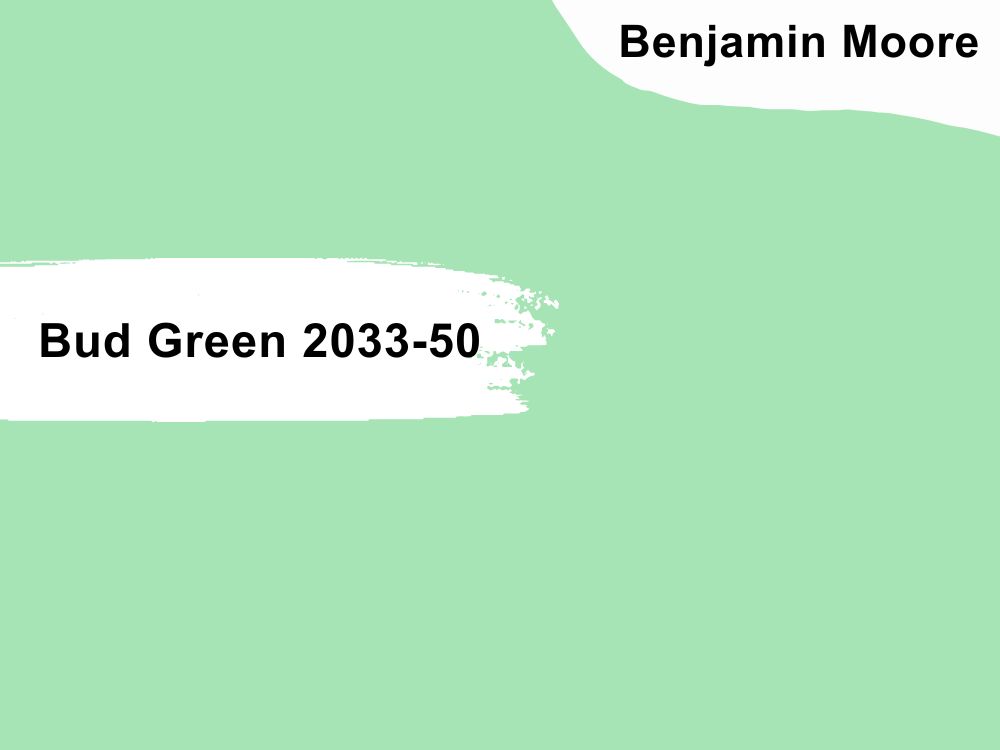Bud Green 2033-50