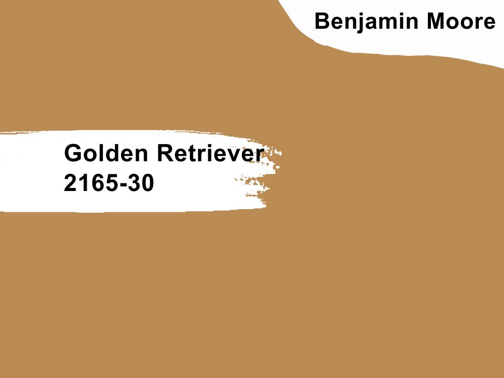 Golden Retriever 2165-30