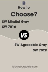 Mindful Gray Vs Agreeable Gray