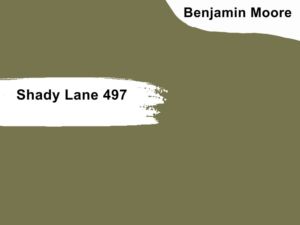 Shady Lane 497