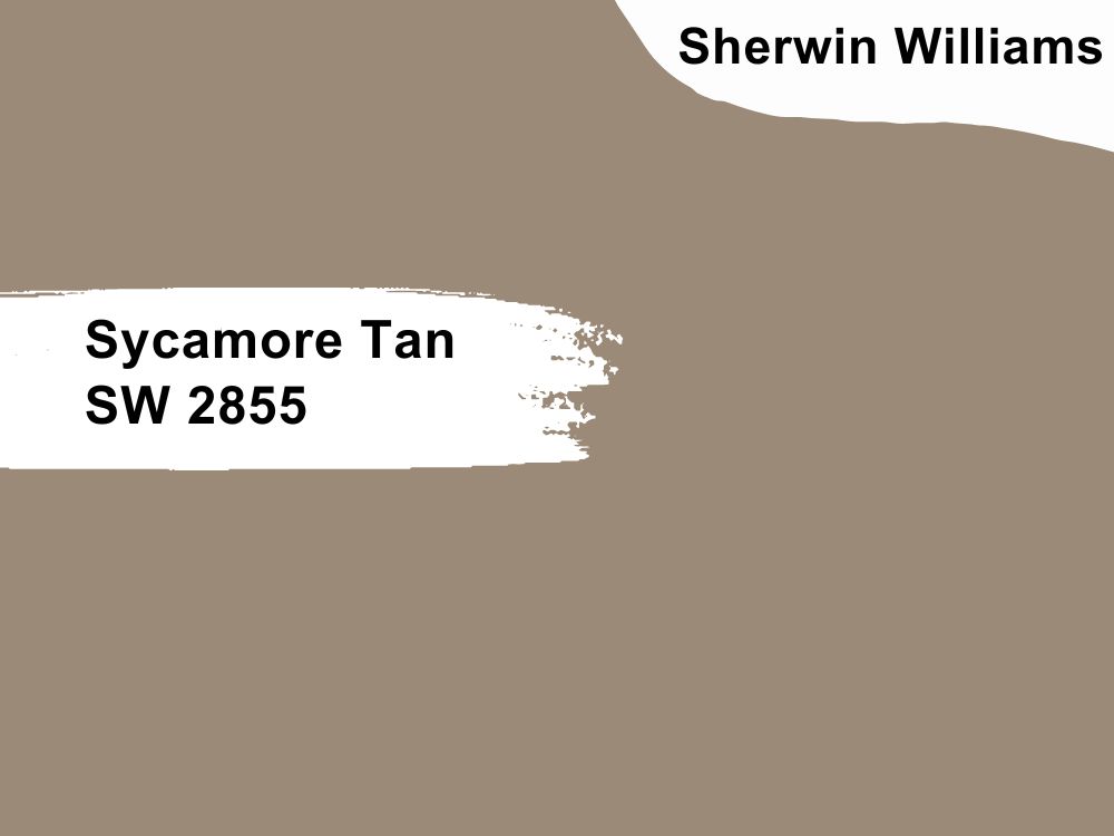 Sycamore Tan SW 2855