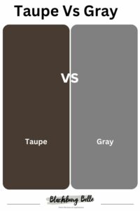 Taupe Vs Gray Paint Colors What are the Differences