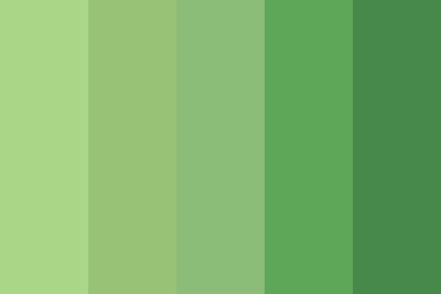 Where To Use Warm Green Paint Colors