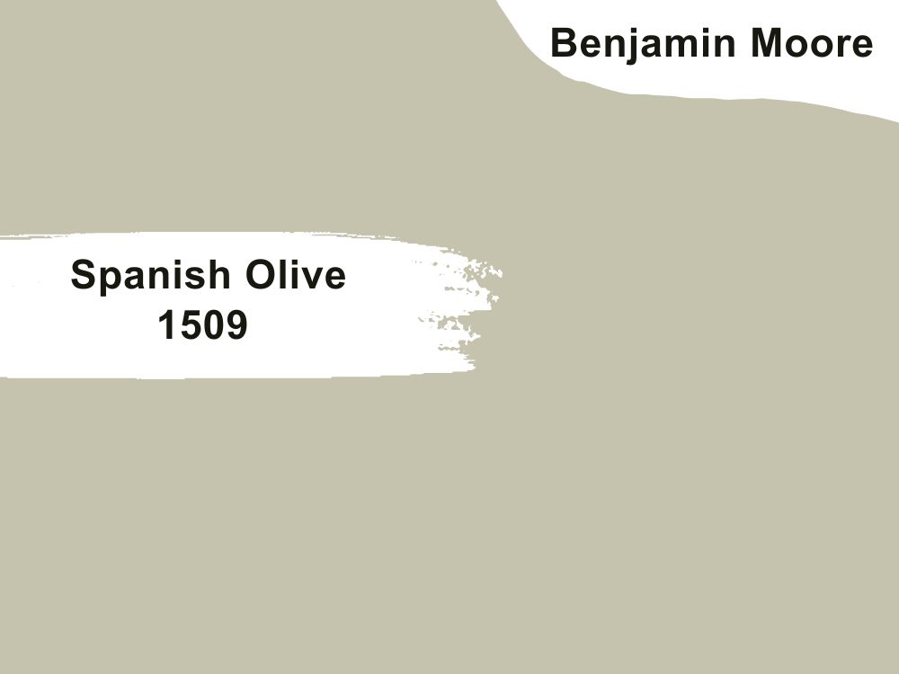 1. Spanish Olive 1509