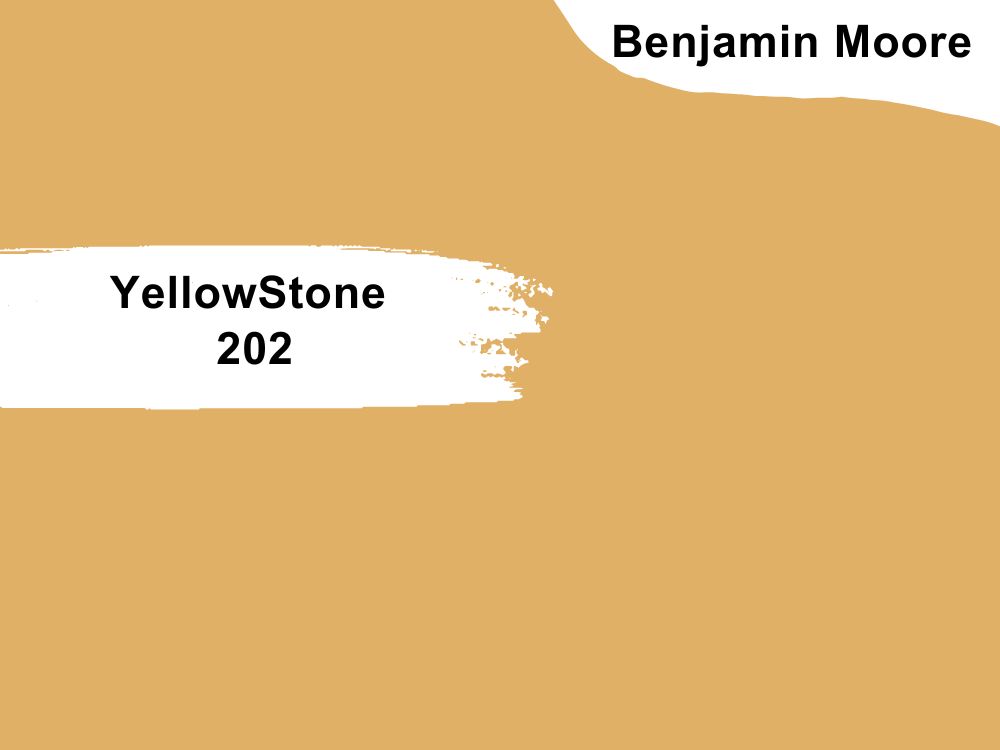 11. YellowStone 202