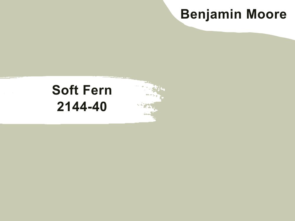 12.Soft Fern 2144-40