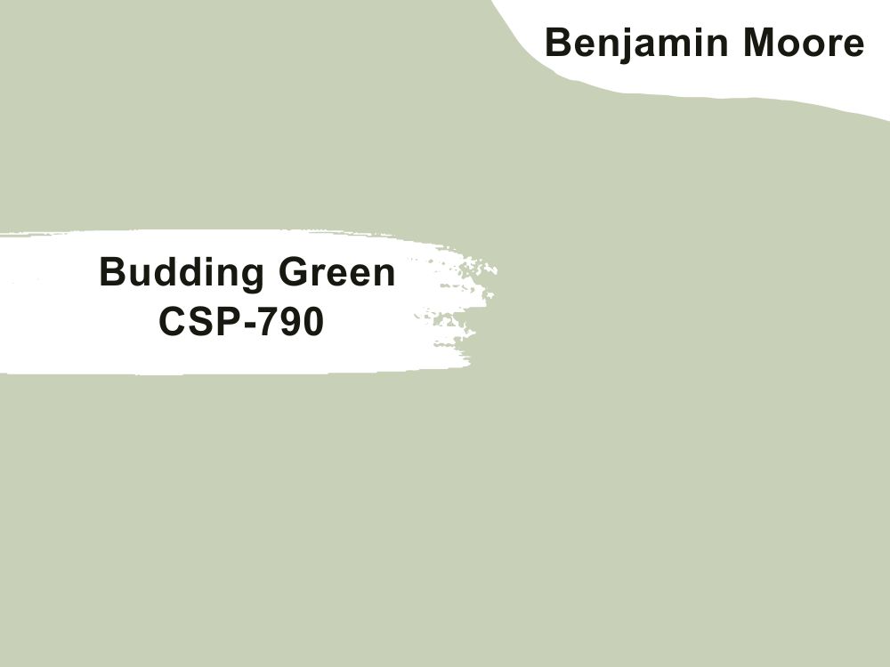 13.Budding Green CSP-790