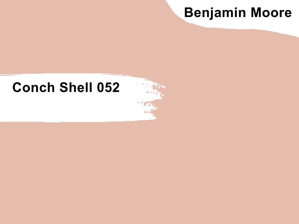 15. Conch Shell 052
