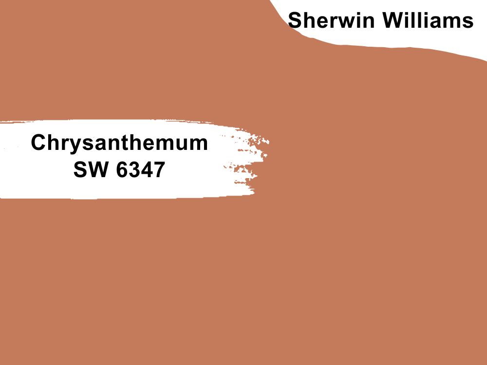 16. Chrysanthemum SW 6347