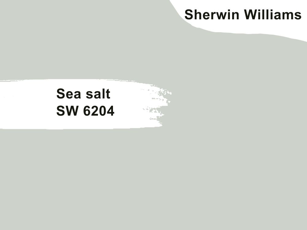 16.Sea salt SW 6204