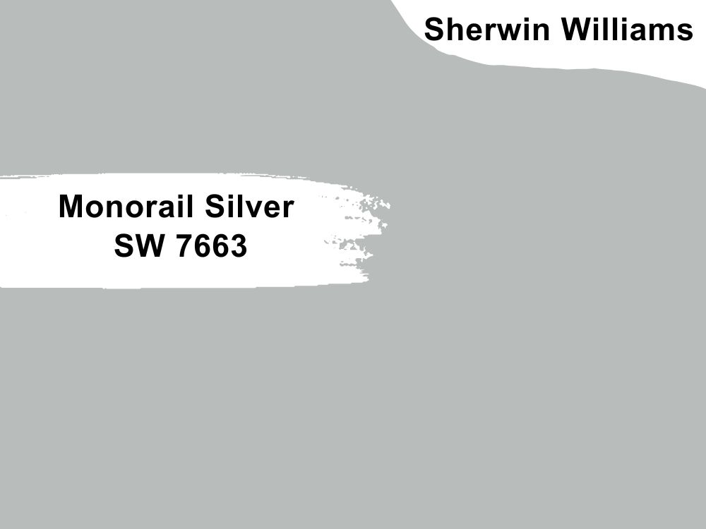 17. Monorail Silver SW 7663