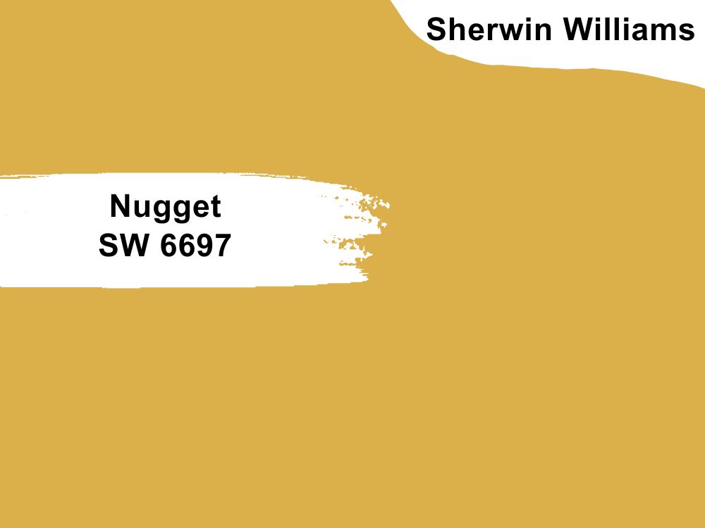 18. Nugget SW 6697