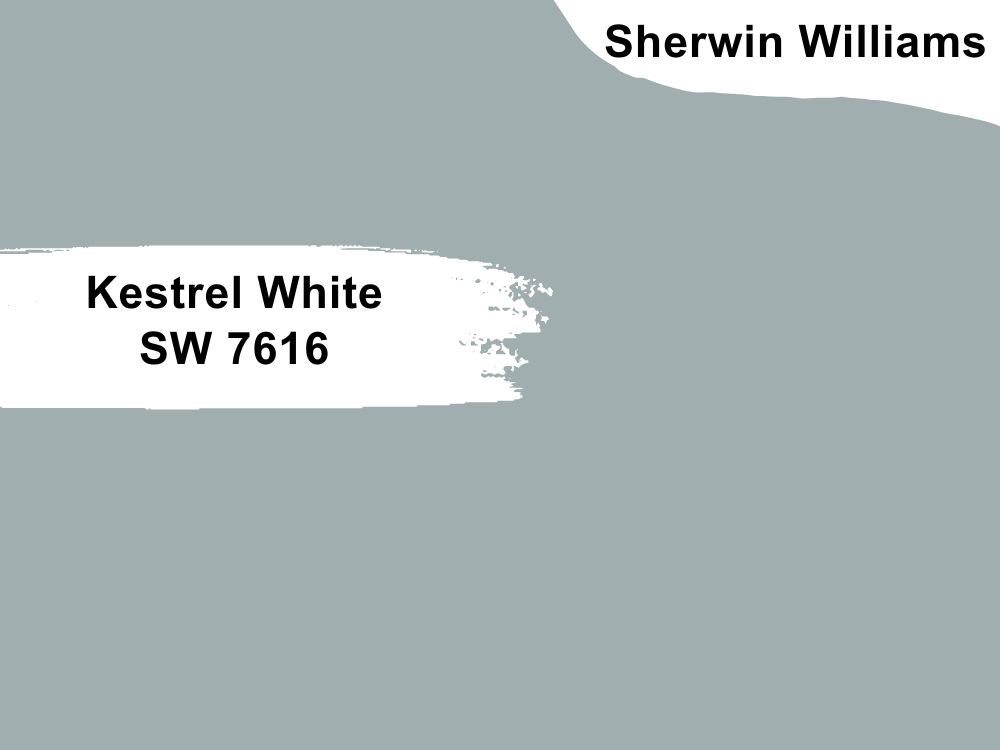 19. Kestrel White SW 7616