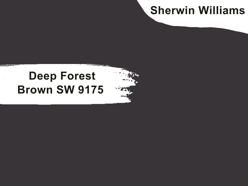 2. Deep Forest Brown SW 9175