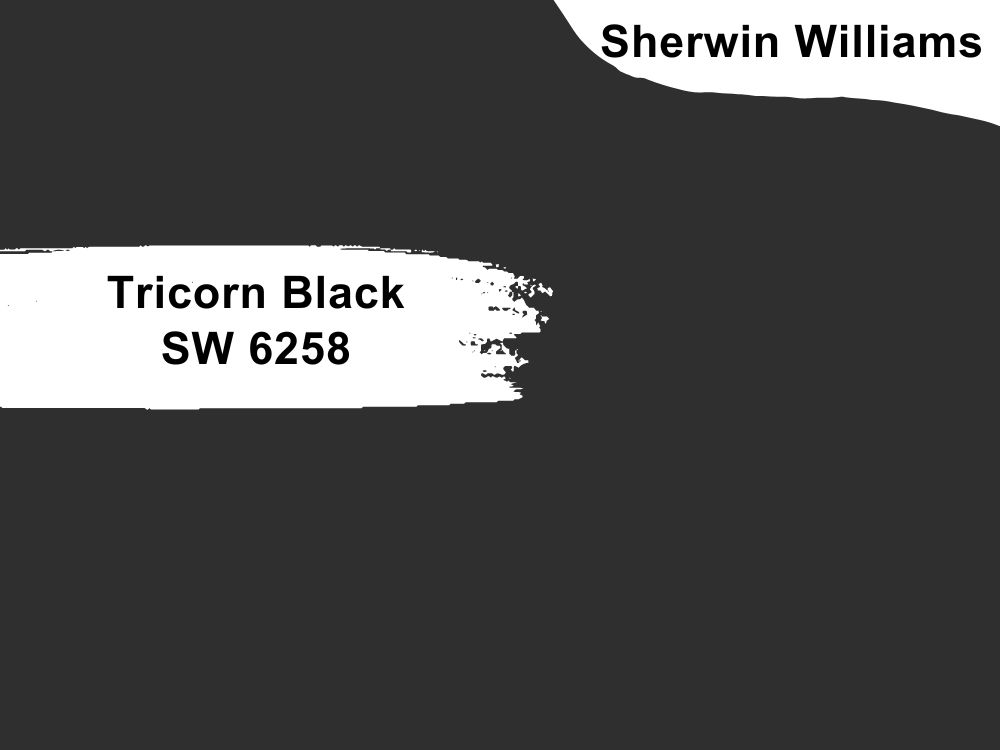 20. Tricorn Black SW 6258