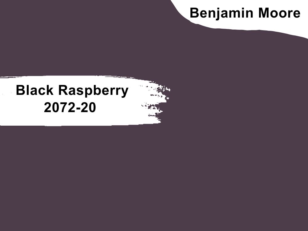 22. Black Raspberry 2072-20