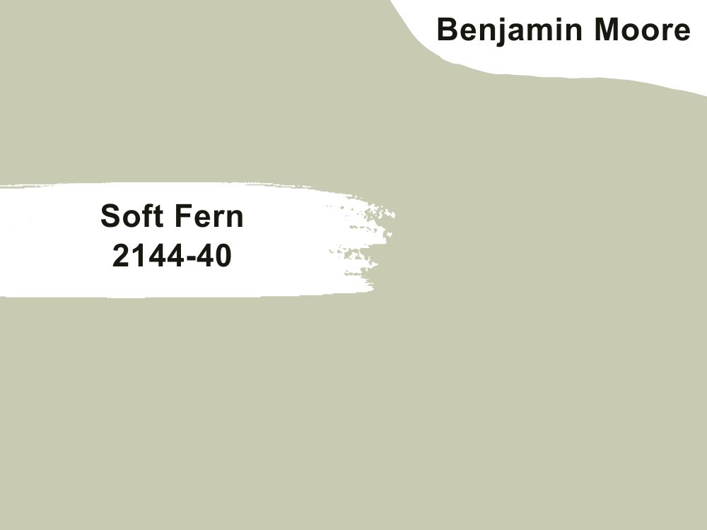 24.Soft Fern 2144-40