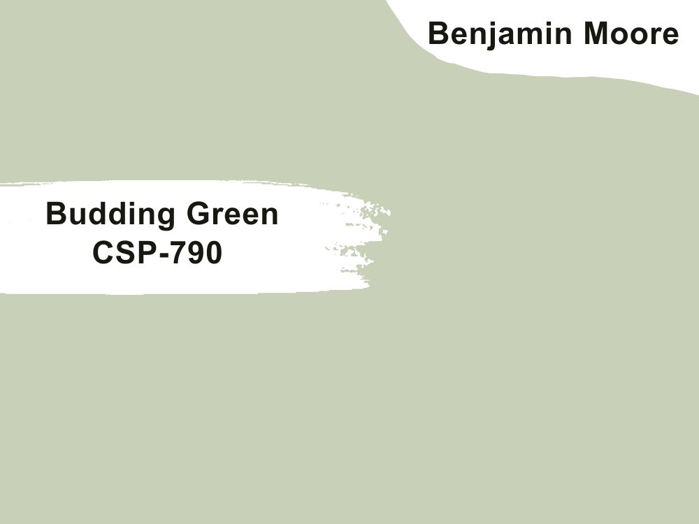 3. Budding Green CSP-790