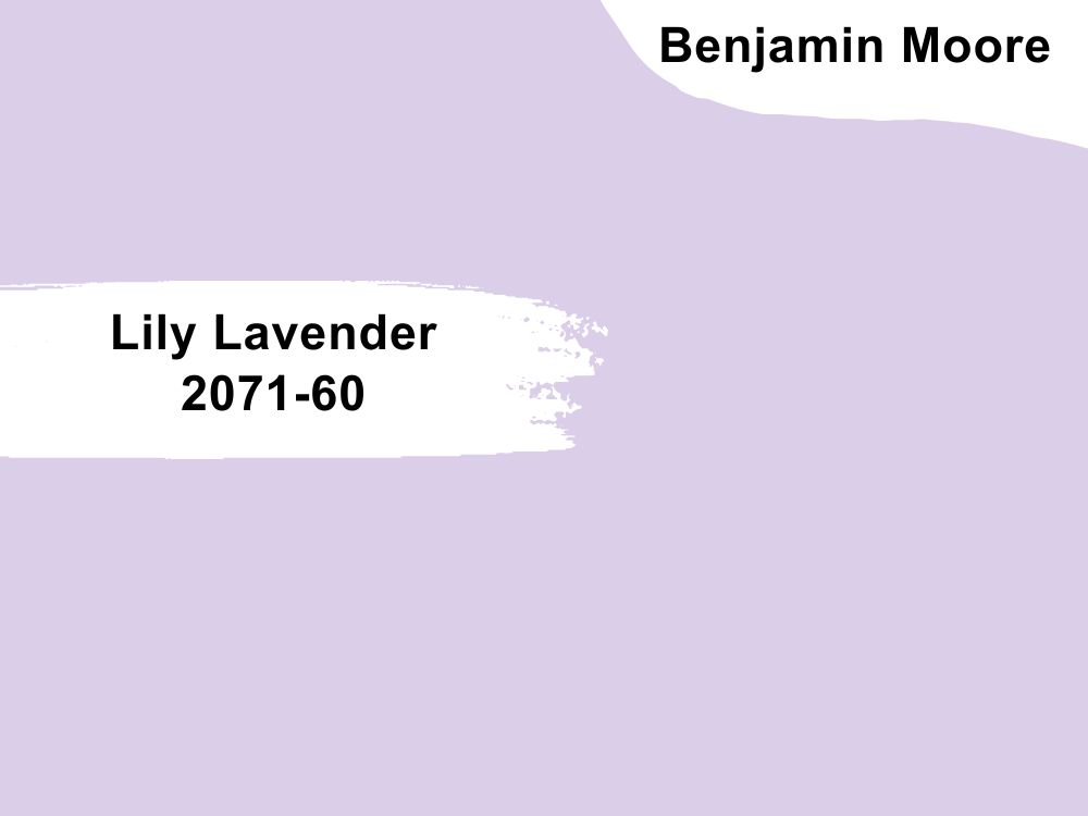 3. Lily Lavender 2071-60