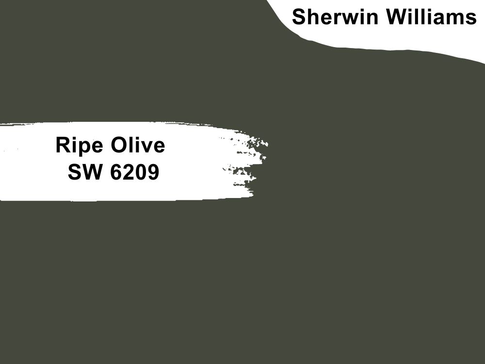 3. Ripe Olive SW 6209
