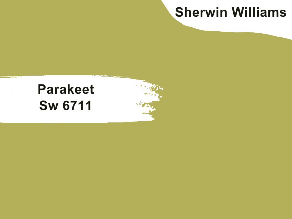 37.Parakeet Sw 6711