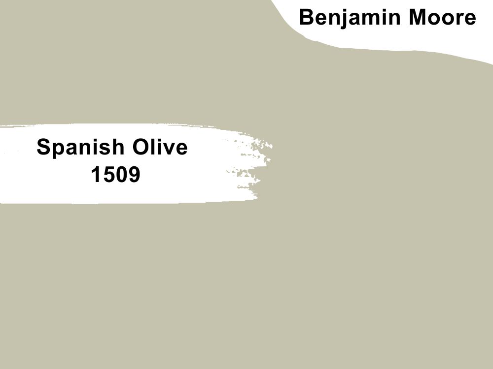 4. Spanish Olive 1509