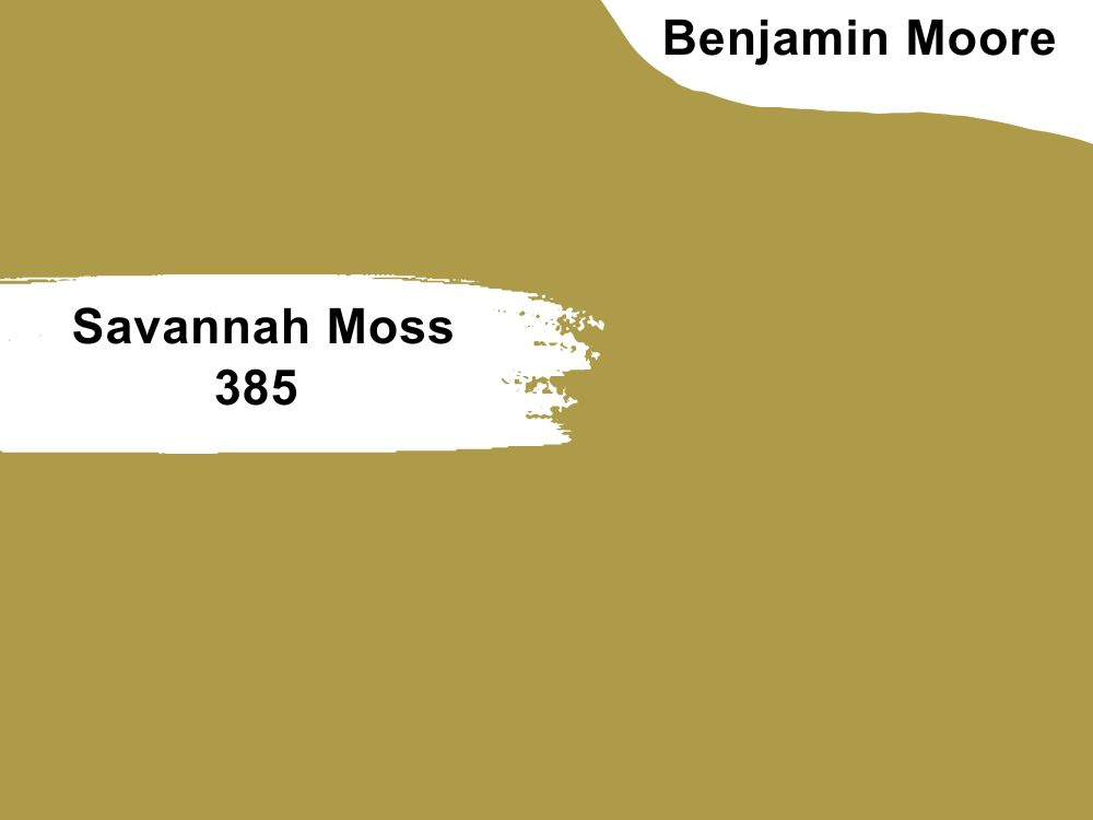 5. Savannah Moss 385