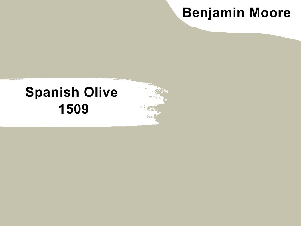 5. Spanish Olive 1509