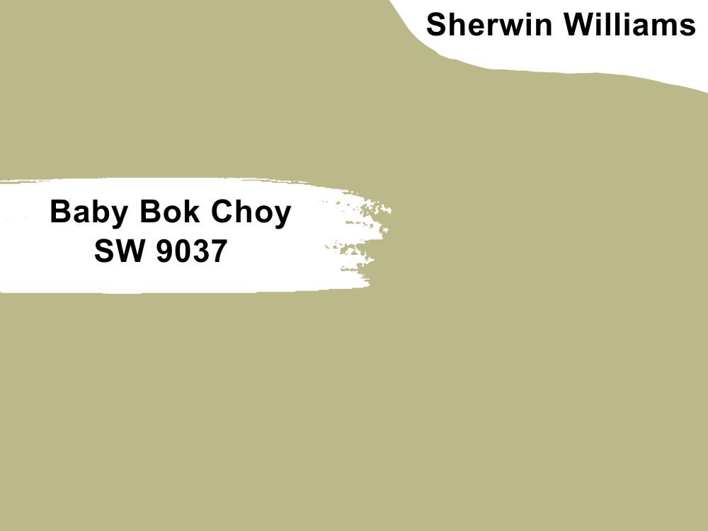 6. Baby Bok Choy SW 9037