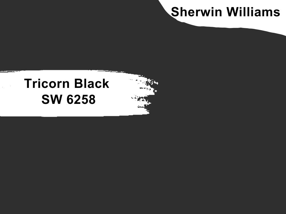 7. Sherwin Williams Tricorn Black SW 6258