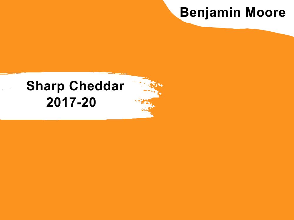 7.Sharp Cheddar 2017-20
