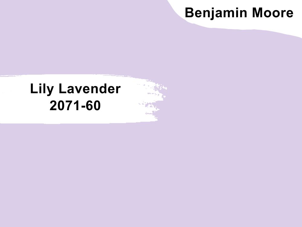 8.Lily Lavender 2071-60