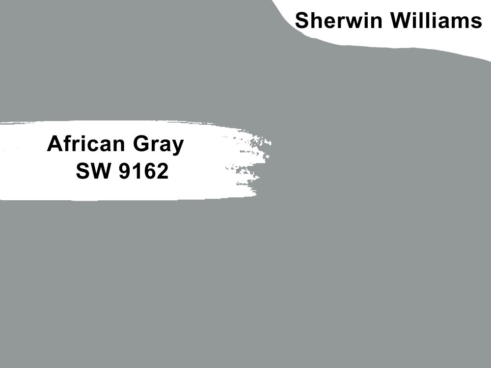 African Gray SW 9162