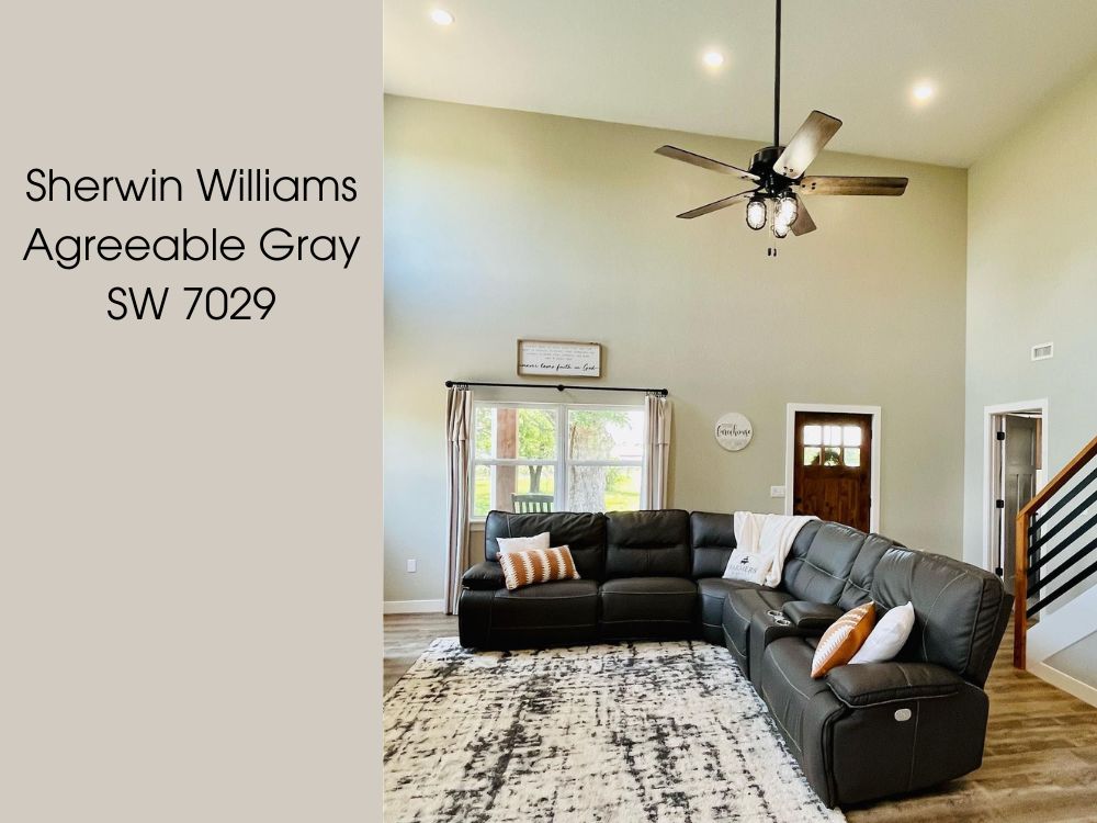 Agreeable Gray SW 7029