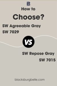 Agreeable Gray VS Repose Gray