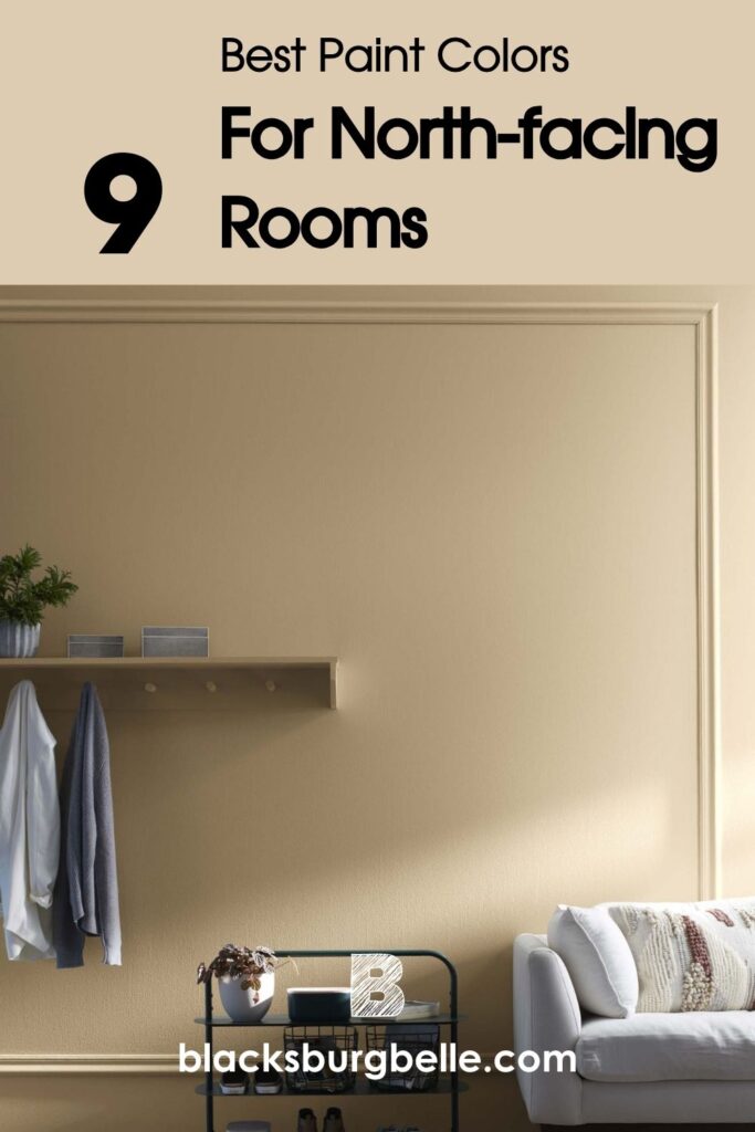 Best Paint Colors for North-facing Rooms