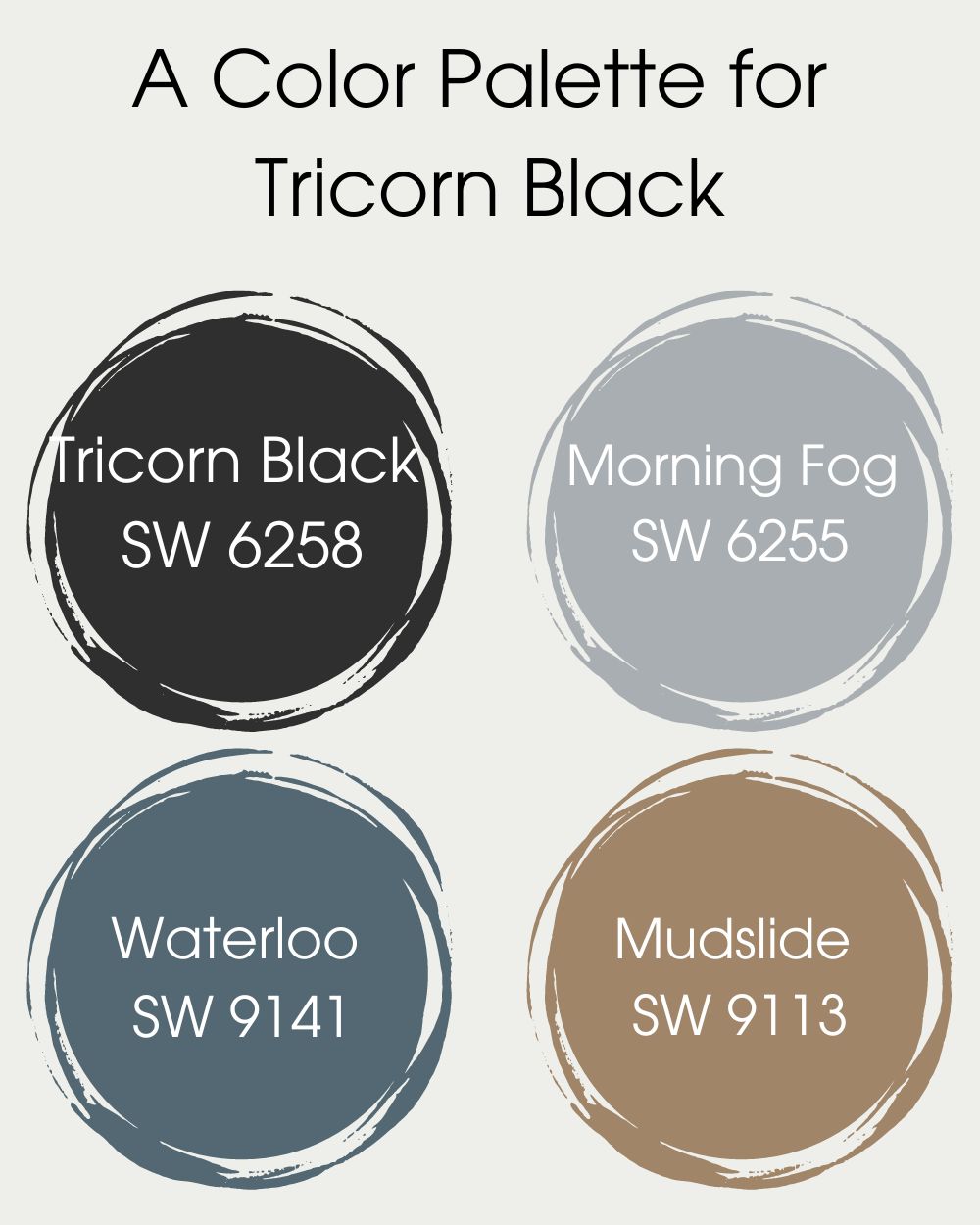 Color Palette for Tricorn Black