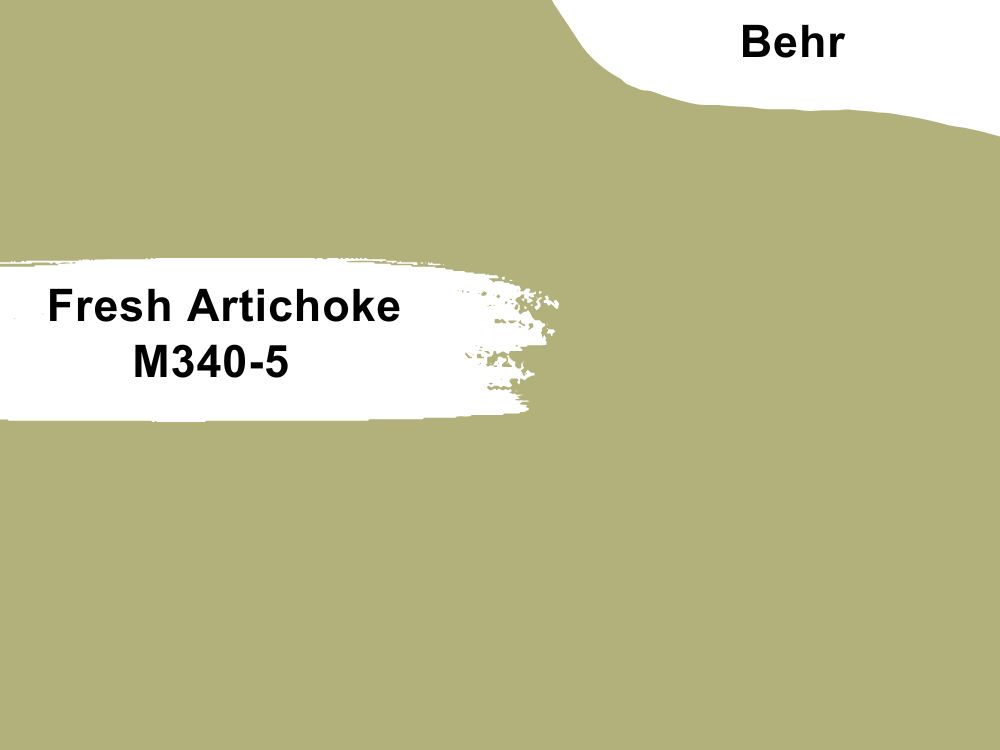 Fresh Artichoke M340-5