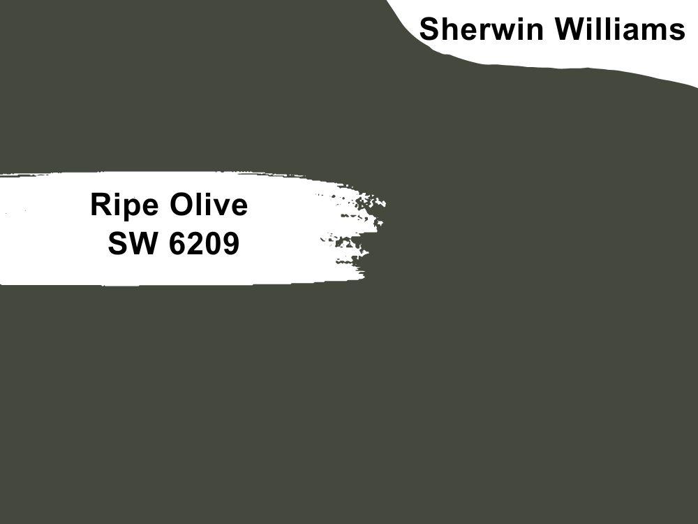 Ripe Olive SW 6209