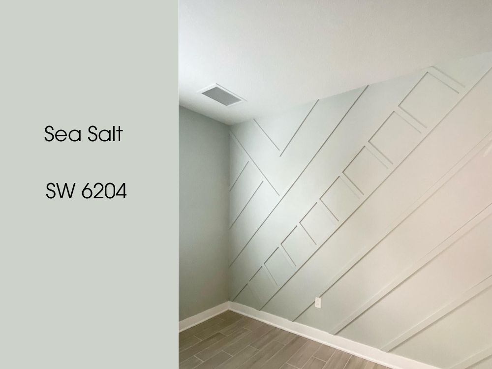 Sea Salt SW 6204