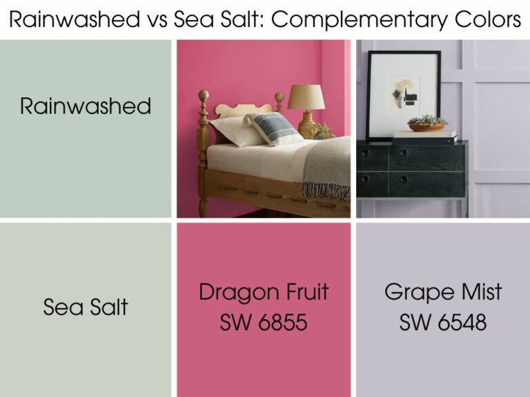 Sherwin Williams Rainwashed vs Sea Salt How to Choose?