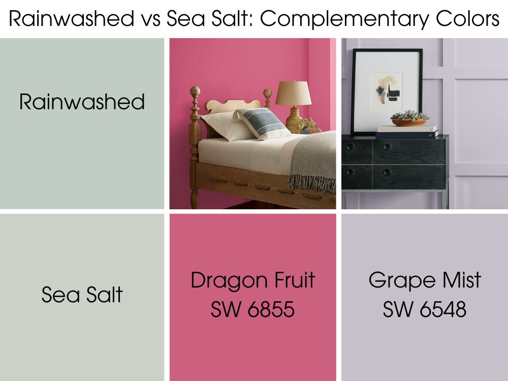 Sherwin Williams Rainwashed vs Sea Salt Complementary Colors