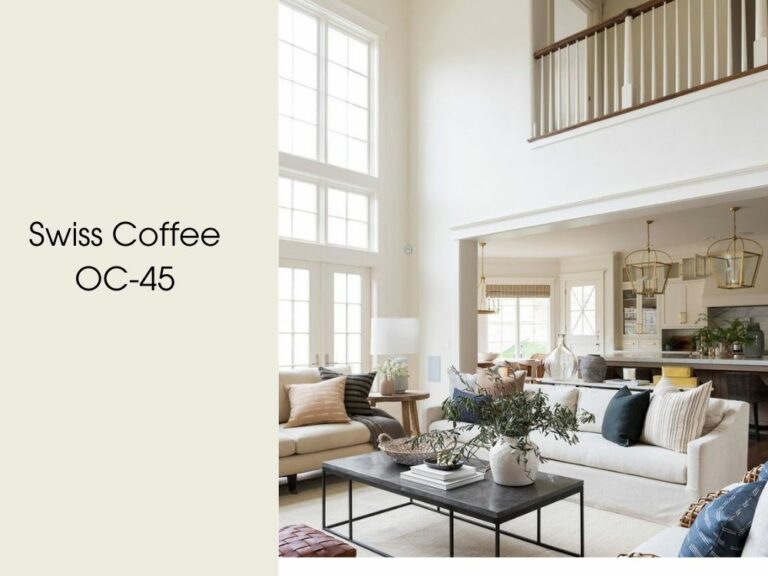 White Dove vs Swiss Coffee How to Choose?