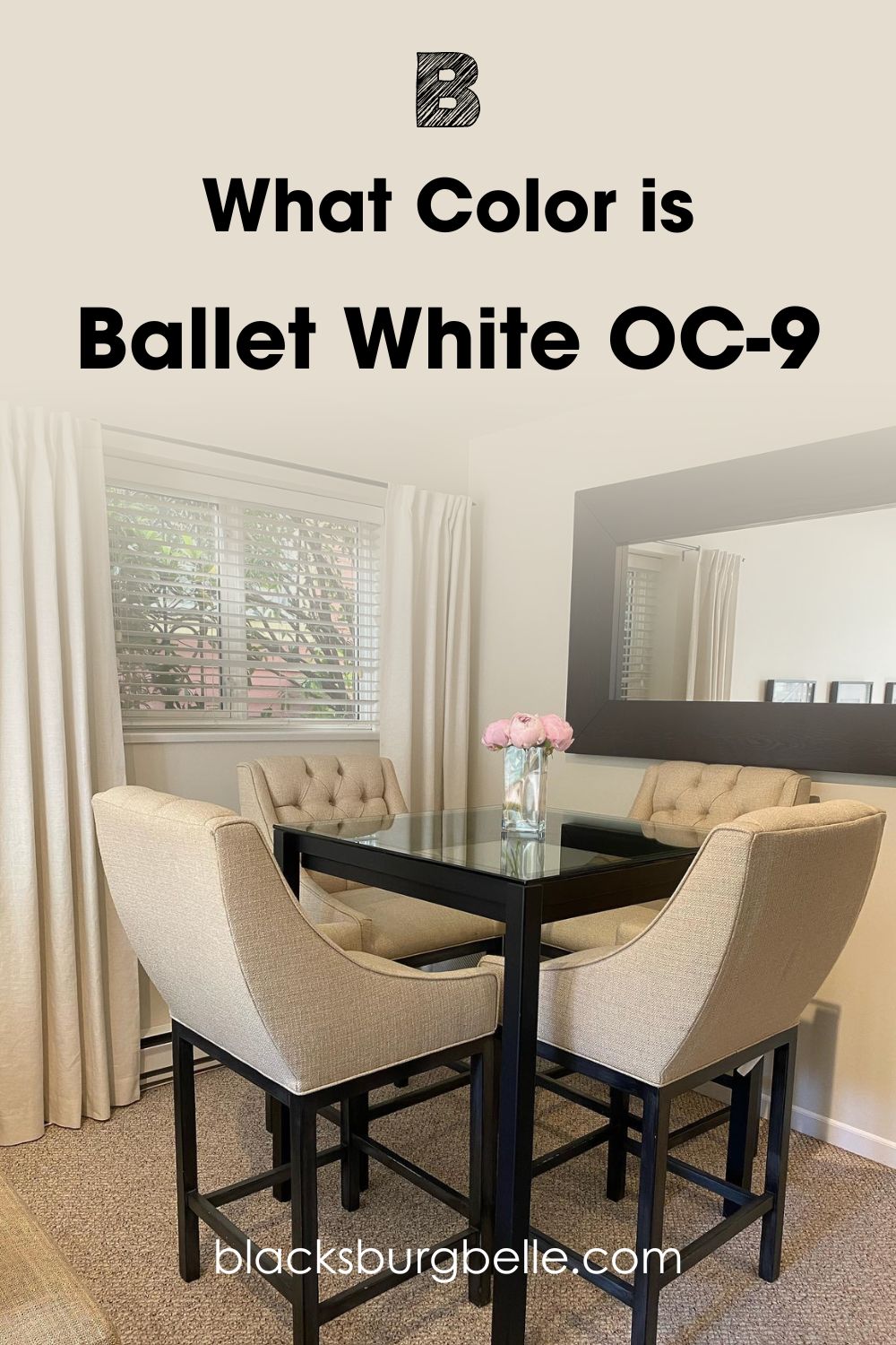 What Color is Ballet White