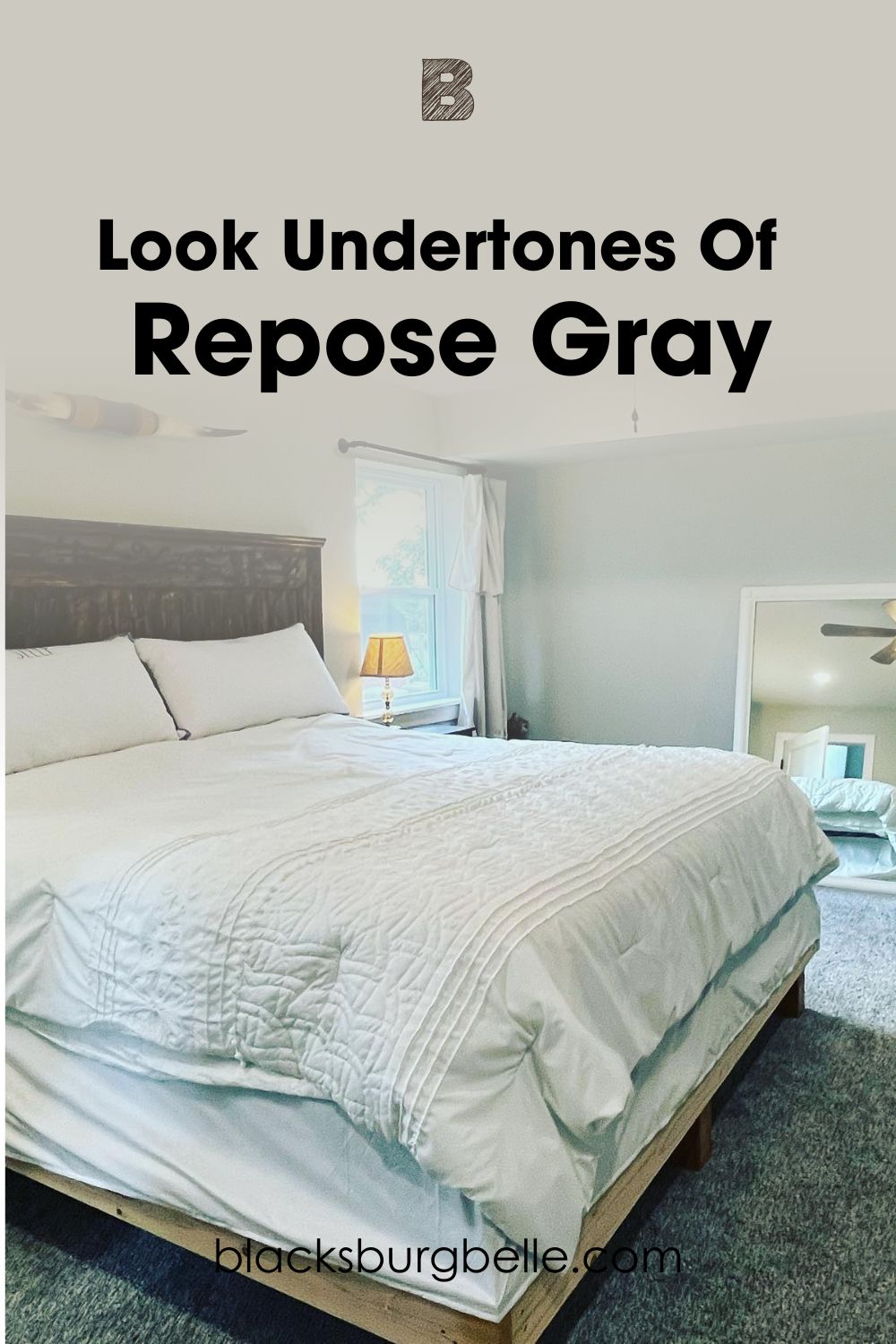A Closer Look at Repose Gray Undertones