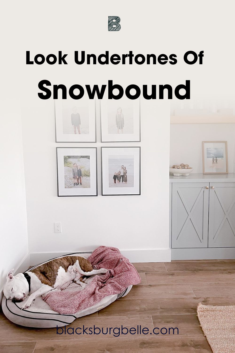 A Closer Look at Snowbound Undertones