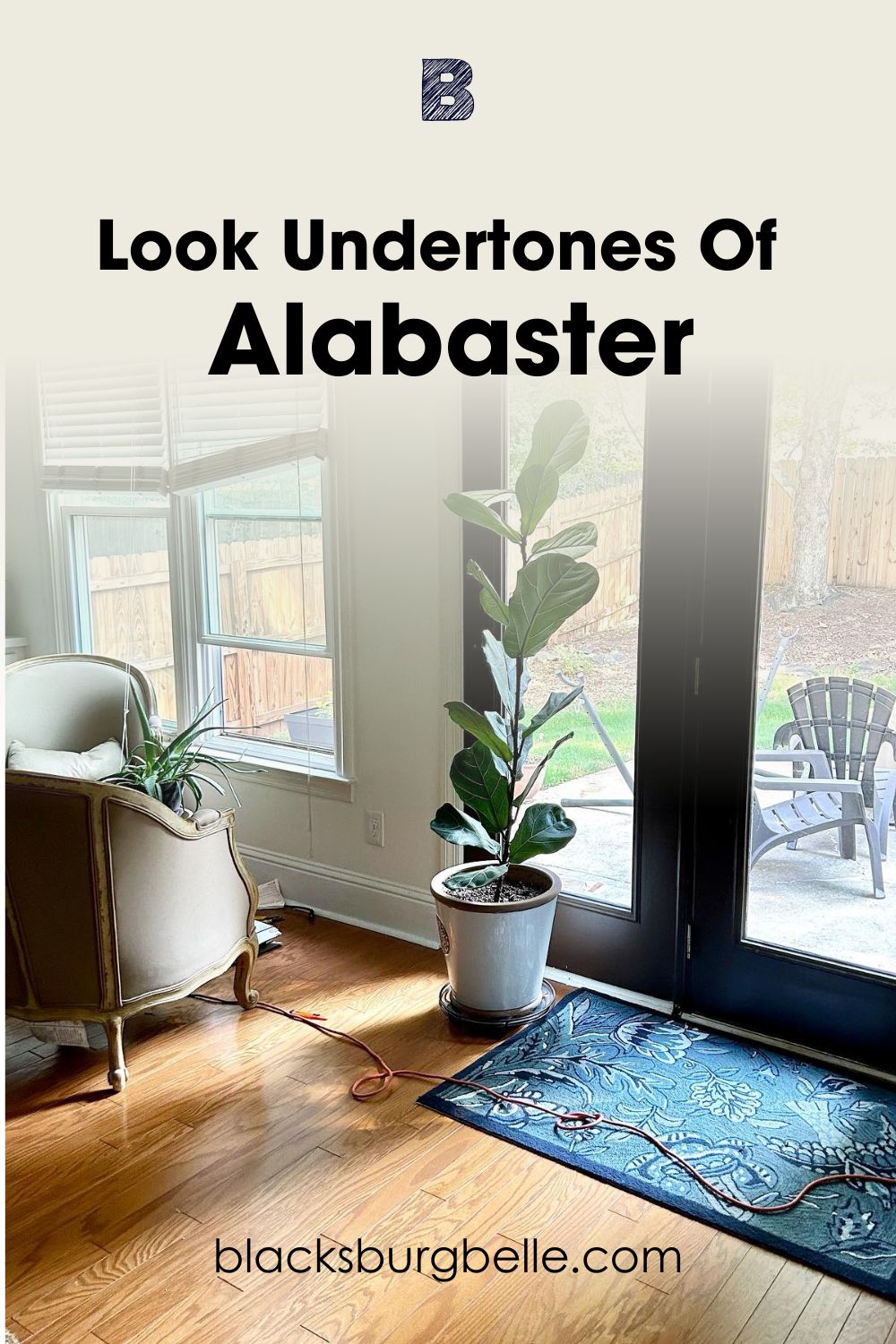 A Closer Look at the Undertones in Alabaster