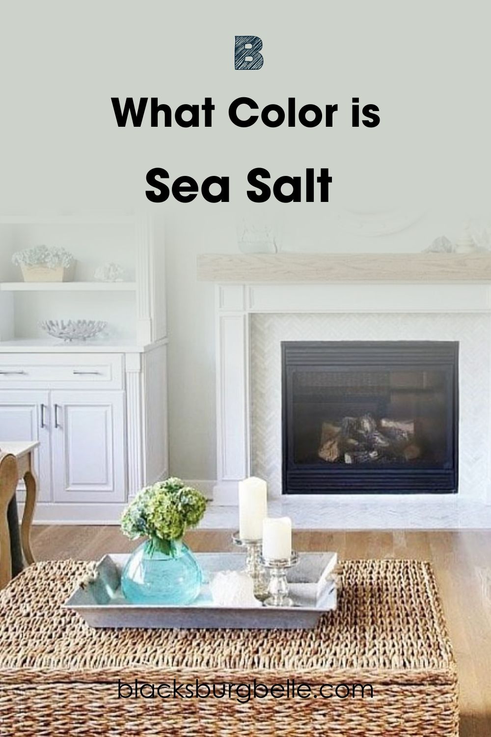 A Visual Comparison of Silver Strand and Sea Salt