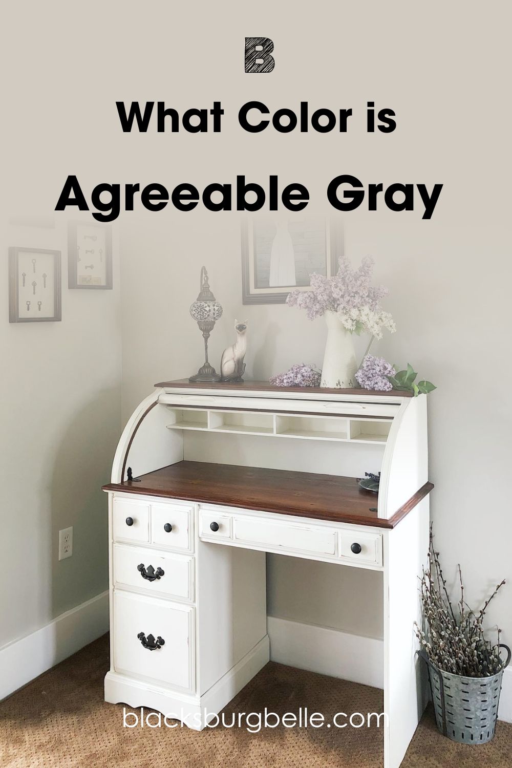 Agreeable Gray(AG)
